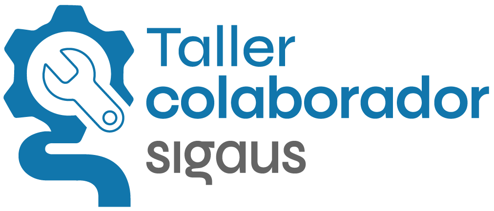 Taller Colaborador Sigaus
