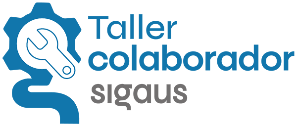 Taller Colaborador Sigaus